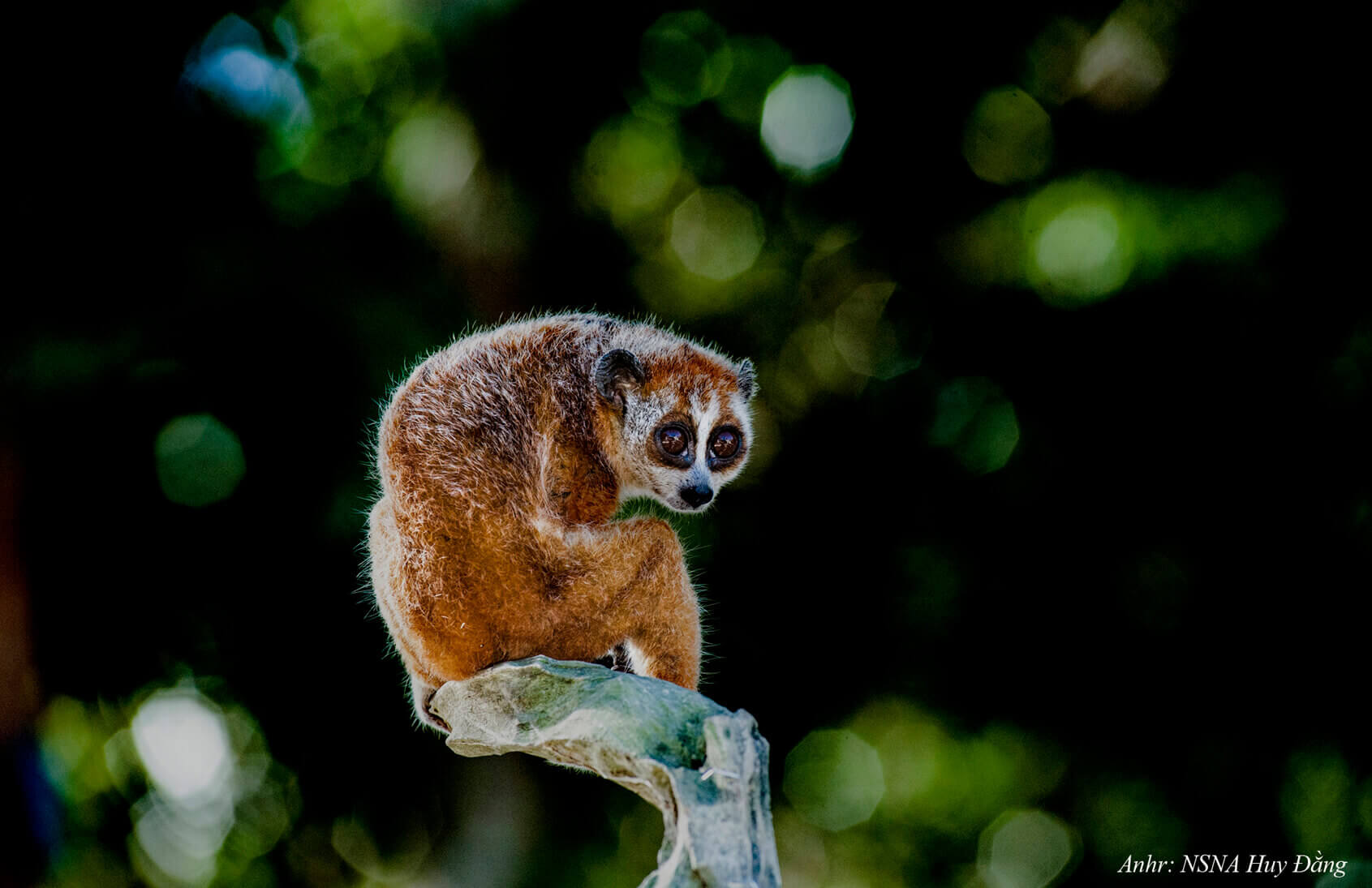 추맘레이 국립공원