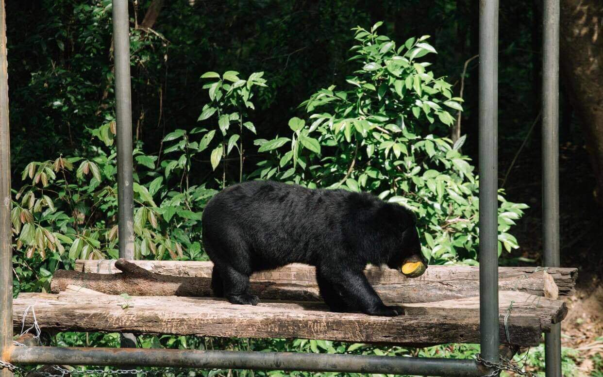 Vườn Quốc gia Cát Tiên