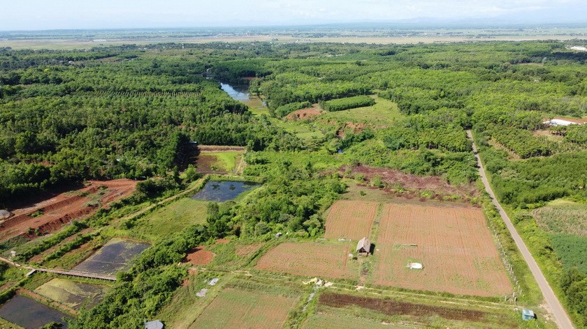 This place is considered the "green lung" of Vinh Linh district in particular and Quang Tri province in general with its rich flora and fauna.