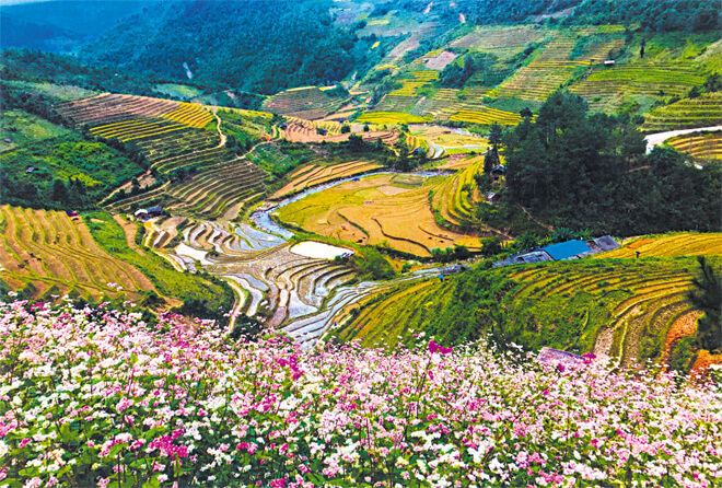 Homestay ở xã La Pán Tẩn