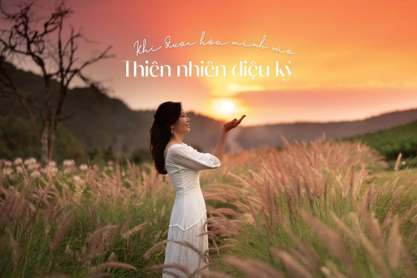 広大な花園には数百種類の花が植えられており、景色も雰囲気もとても心地よいです。