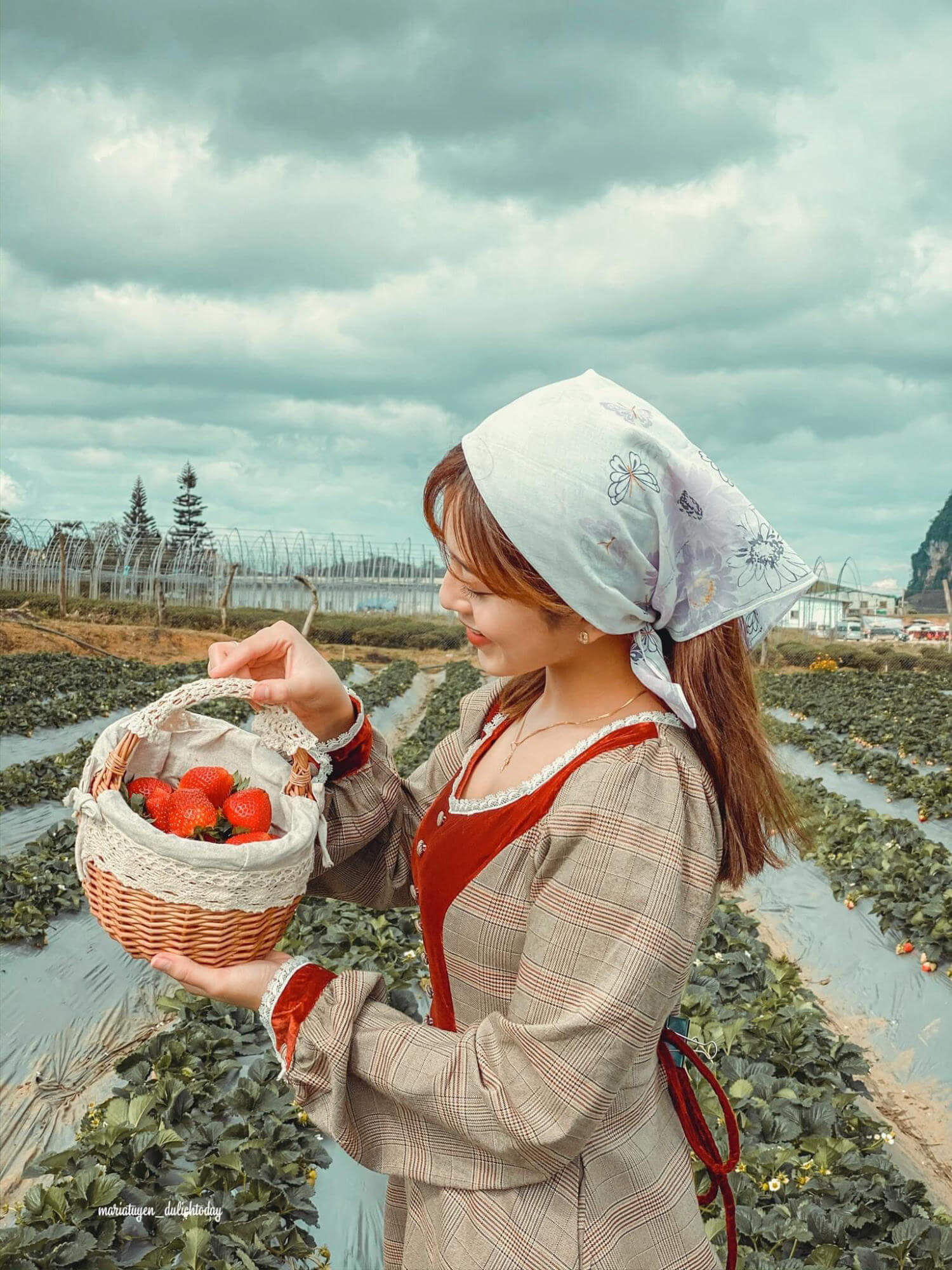 Chimi Farm đem đến cho những tín đồ đam mê sống ảo những góc check-in đẹp lung linh, thơ mộng.