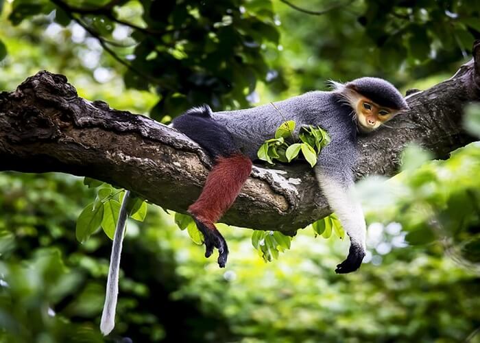 A place to preserve wild animals