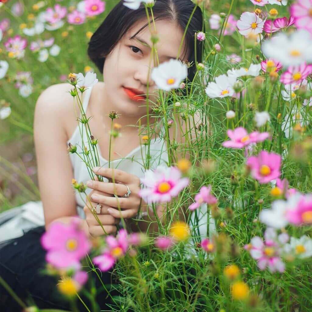 Cao nguyên Vân Hòa