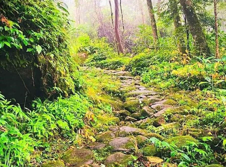 パヴィ古代の石造りの道