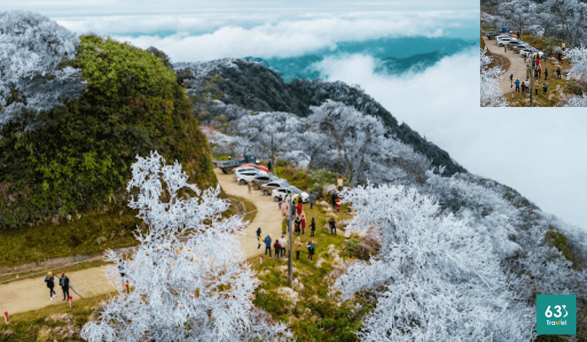 Vườn quốc gia Phia Oắc,Phia Đén - “Viên ngọc thô” giữa núi rừng Đông Bắc