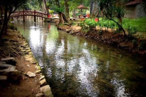 Câu chuyện ly kỳ liên quan đến suối Cá Thần