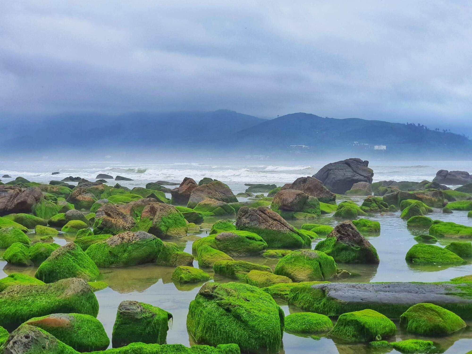 Một màu xanh ngắt tại rạn Nam Ô