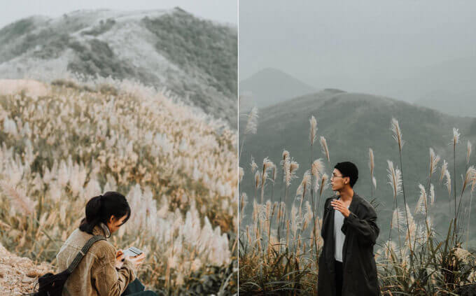 Đồi Bù Hà Nội