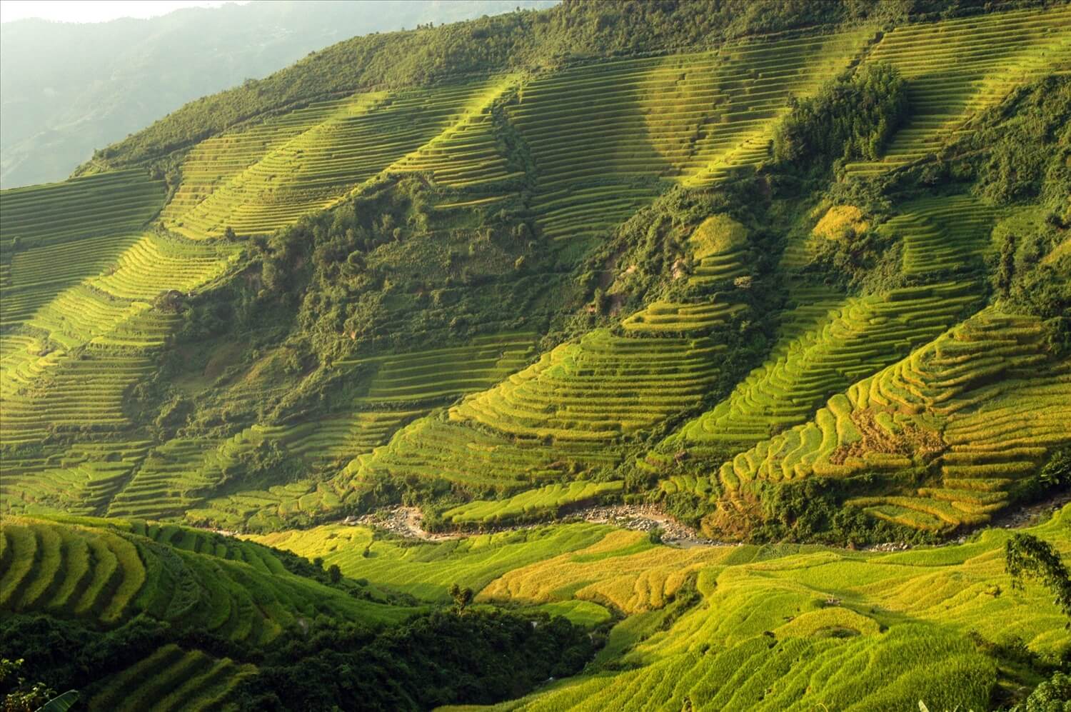 Cao nguyên Dào San.