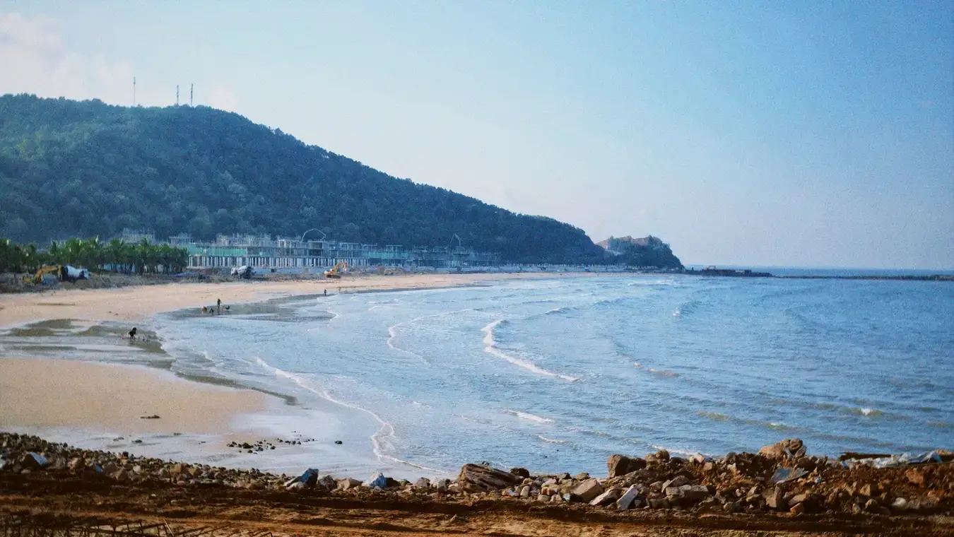 遠くから見た白鹿の眺め