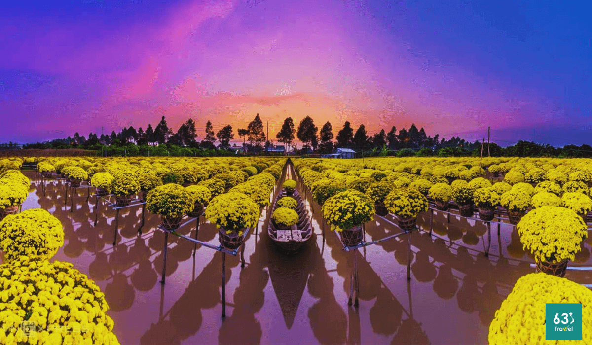 Vi vu khám phá làng hoa Sa Đéc,thủ phủ hoa lớn nhất miền Tây