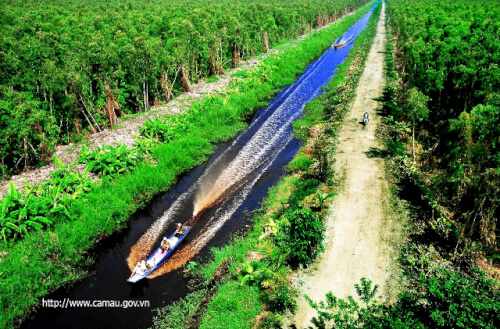 ウミンハの森を探索する