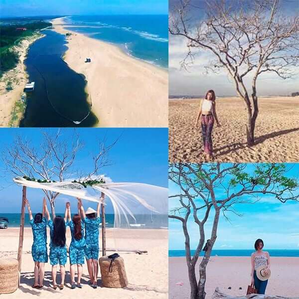 スオイオ ビーチは、淡水の流れと広大な青い海、柔らかい白い砂浜を兼ね備えており、最初の瞬間から強烈な印象を与えます。