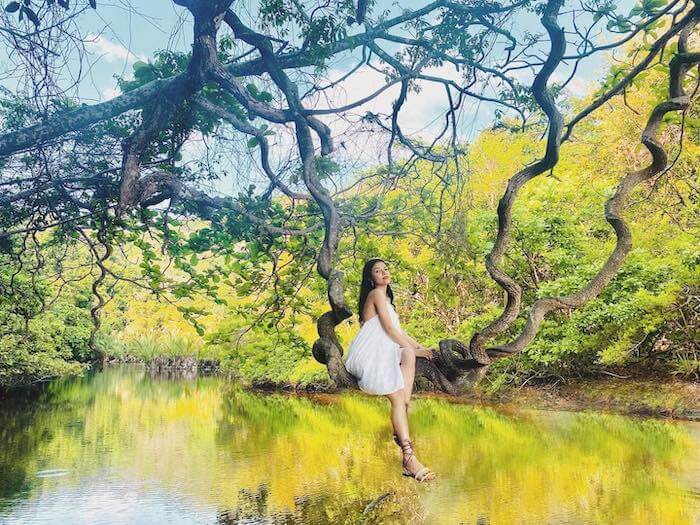 Vườn Quốc Gia Côn Đảo