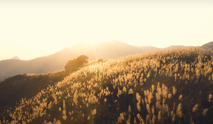 Đồi Bù Hà Nội