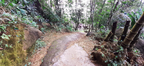コト山の頂上への道