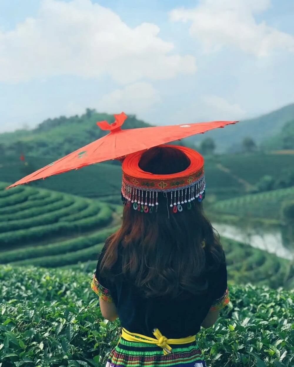 Đảo chè Thanh Chương