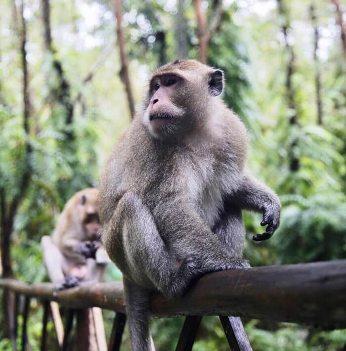 非常に豊かなエコシステムを探索する