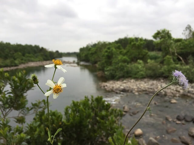 Hồ Trúc Bài Sơn