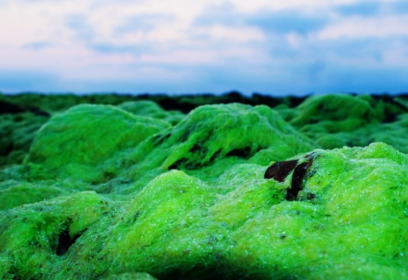 Bãi biển Lộ Diêu