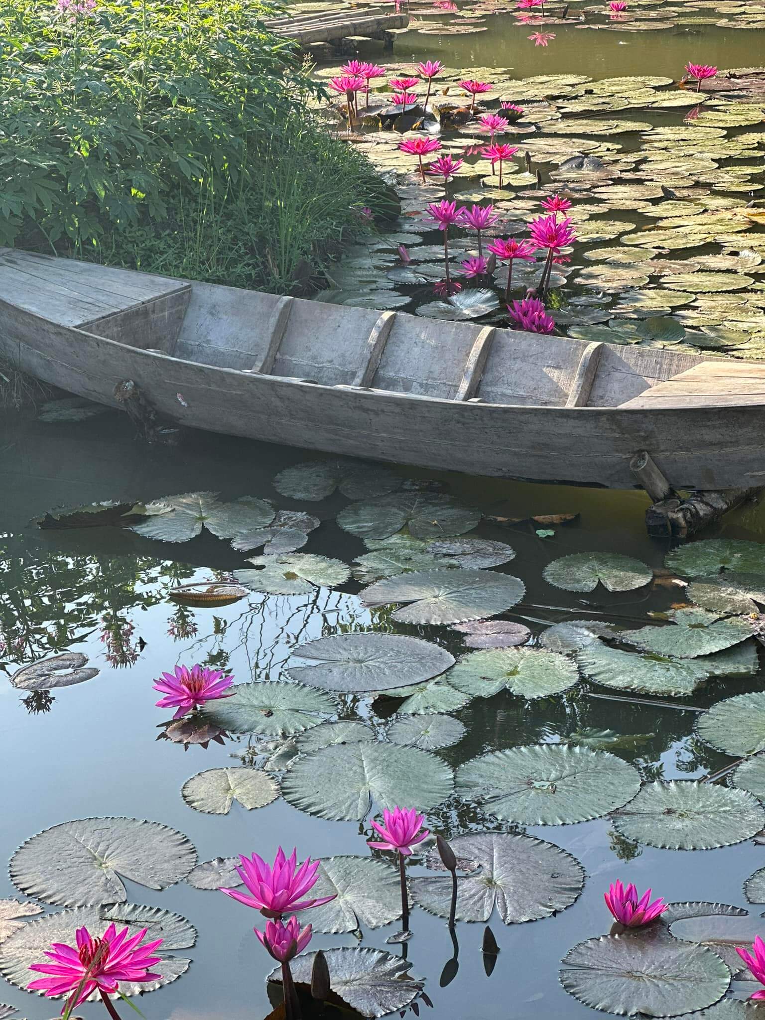 Vườn hoa Mãn Đình Hồng