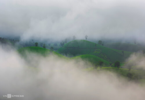 霧の中のロングコックティーヒル