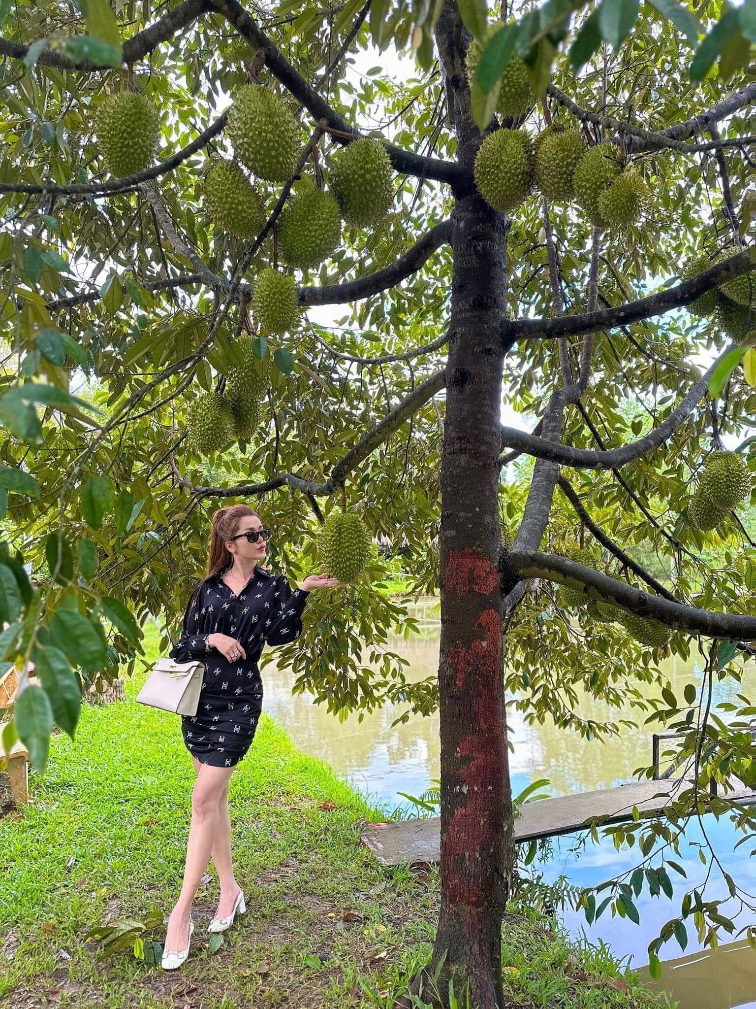 収穫期には、フルーツが競い合う光景に、訪れる機会がある人は皆魅了され、すぐに携帯電話を手に取り、バーチャル ライフにチェックインしたくなります。