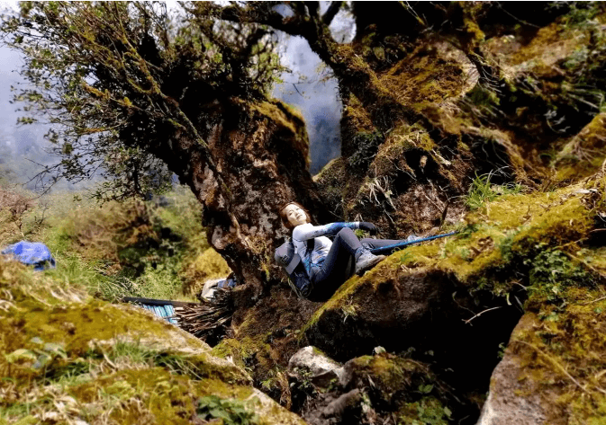 Hệ thực vật rừng nguyên sinh nơi đây mang vẻ đẹp như chốn bồng lai tiên cảnh.