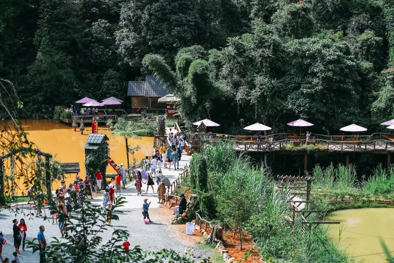 호아 손 디엔 트랑