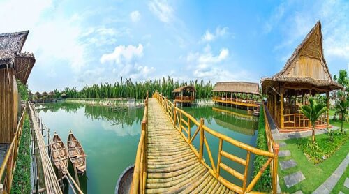 Khám phá rừng dừa Bảy Mẫu giữa lòng Hội An