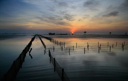 Bình minh ở khu du lịch sinh thái Cồn Đen