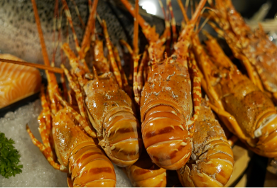 Tôm hùm không giới hạn và Buffet hải sản.