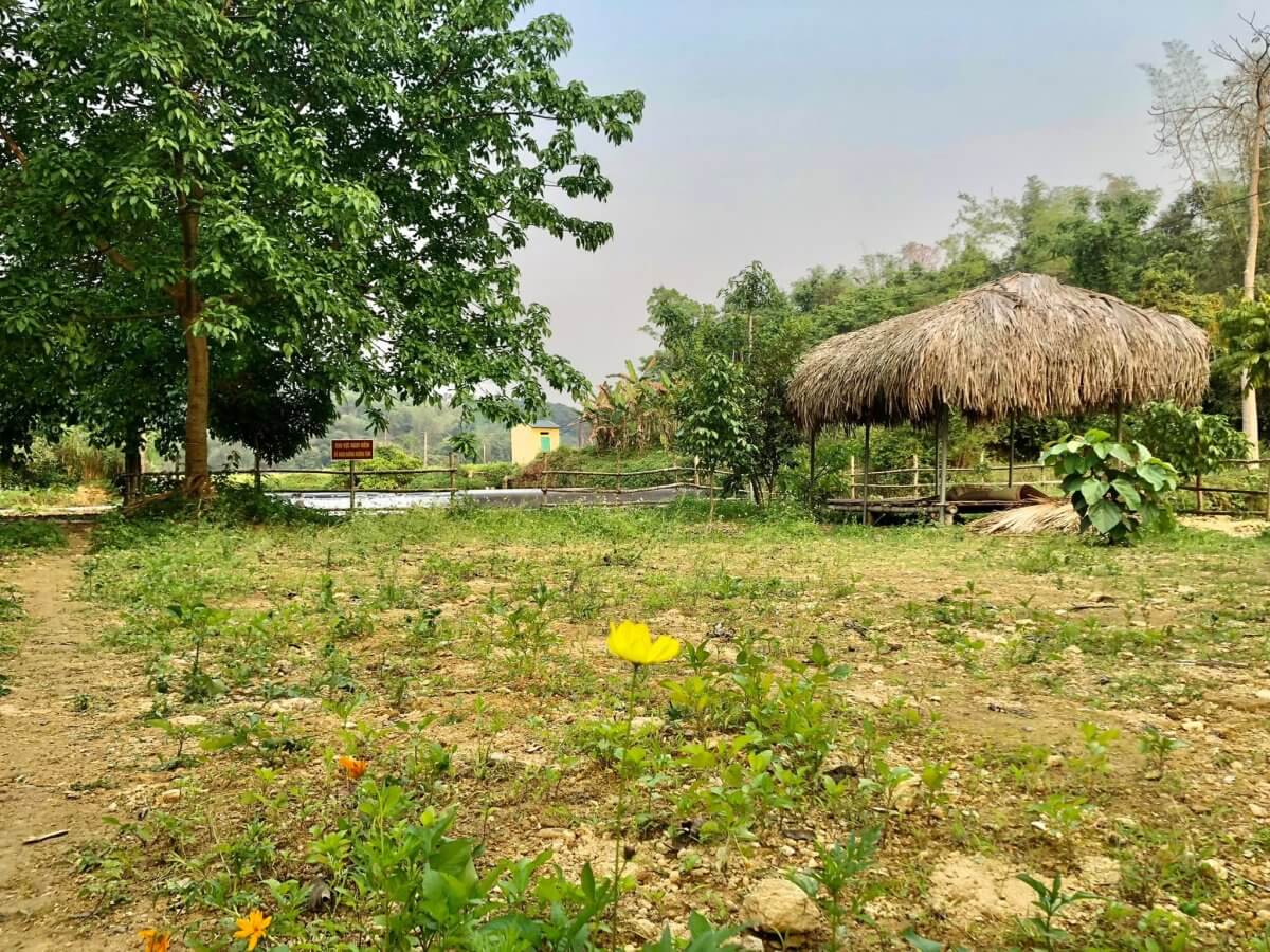 Suối Nặm Thoong .