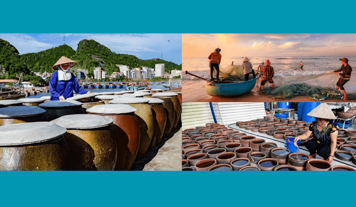 Làng nghề nước mắm Nam Ô – Làng cổ truyền thống ở Đà Nẵng