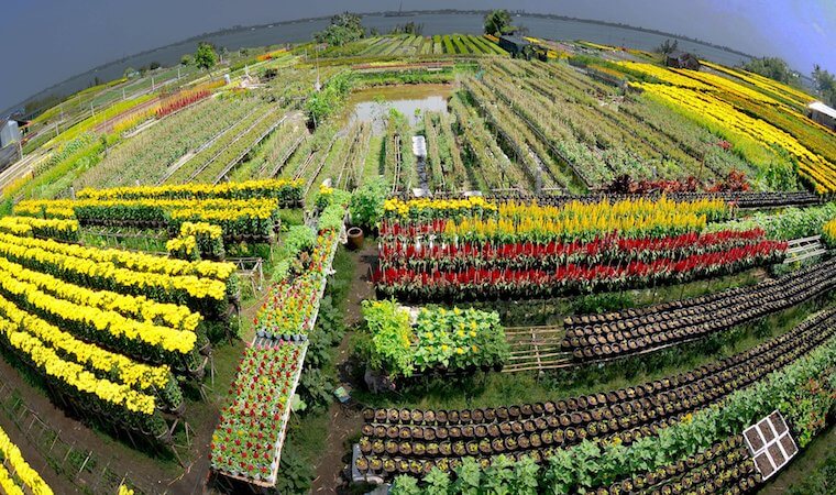 Làng hoa kiểng Sa Đéc