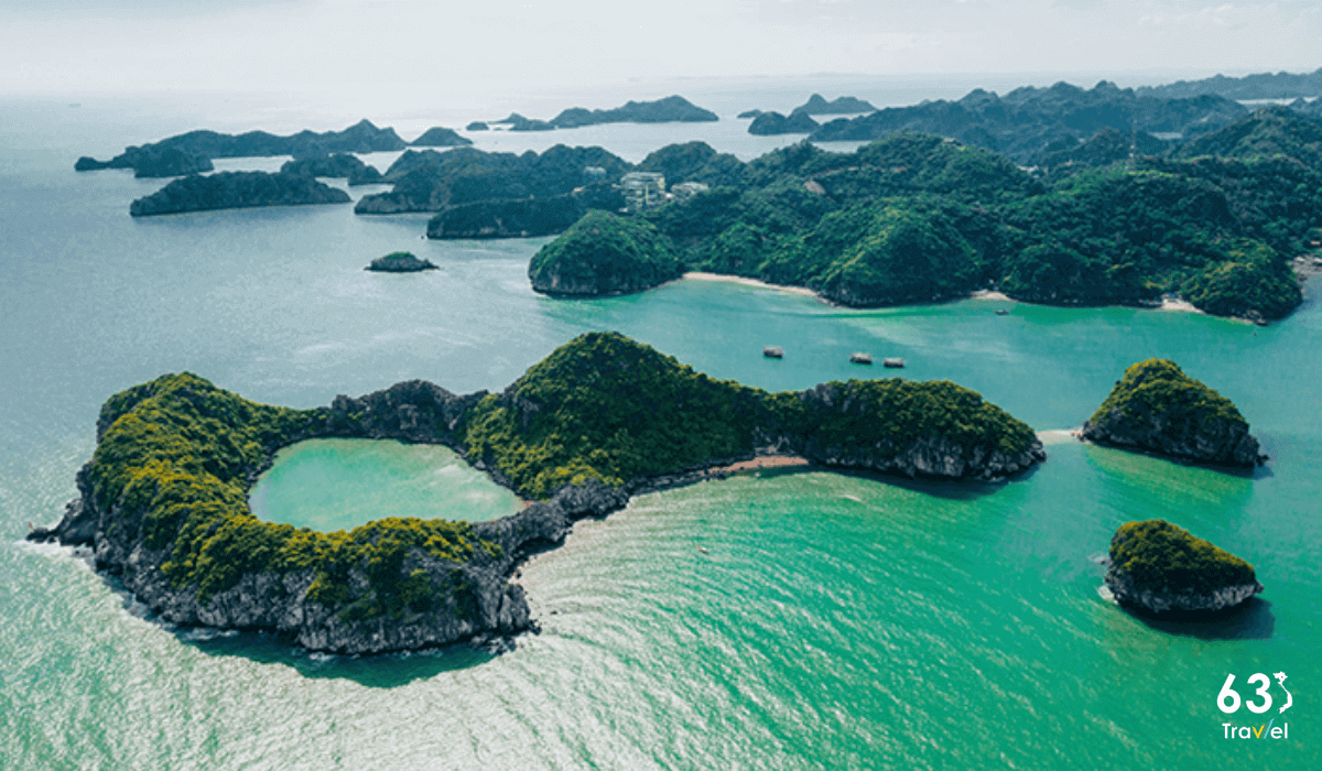 Khám phá Vườn Quốc gia Cát Bà – Top khu dự trữ sinh quyển lớn nhất thế giới