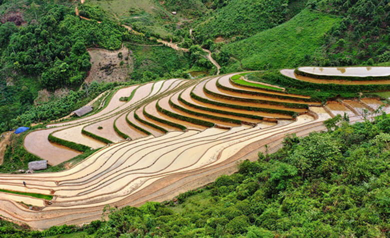 Nước đã đổ sẵn sàng cho vụ mới.