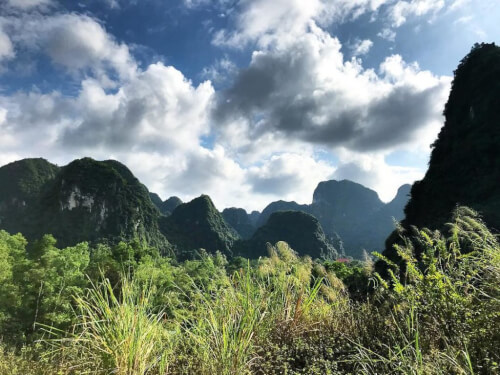 Khám phá hệ sinh thái ở rừng quốc gia Cát Bà