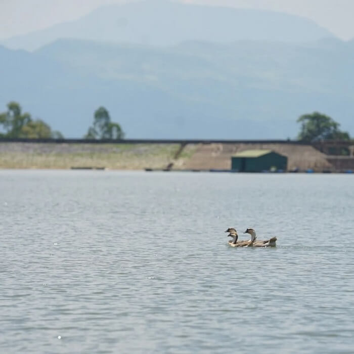 Hồ Pe Luông có diện tích rộng lớn, khoáng đạt và trong lành.