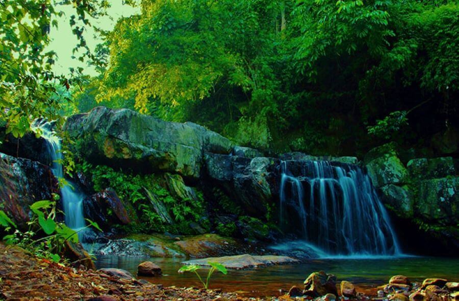 Khu du lịch Suối Mỡ