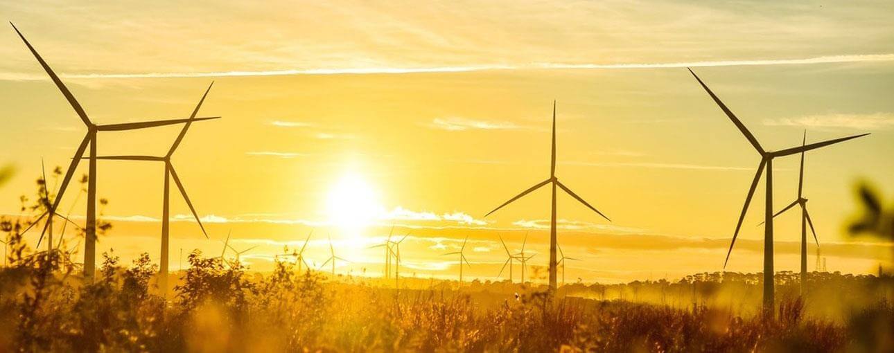 エア・レオ風車場 - ダクラクの詩的な仮想生活スポット