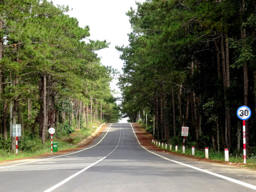 Con đường đến rừng thông Măng Đen