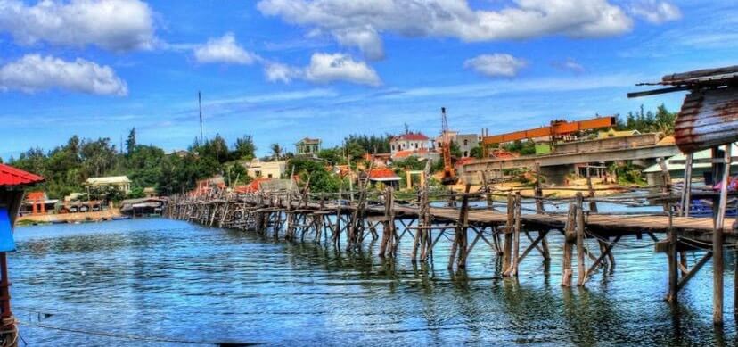 Explore the beauty of Dam O Loan with Yellow flowers on green grass.