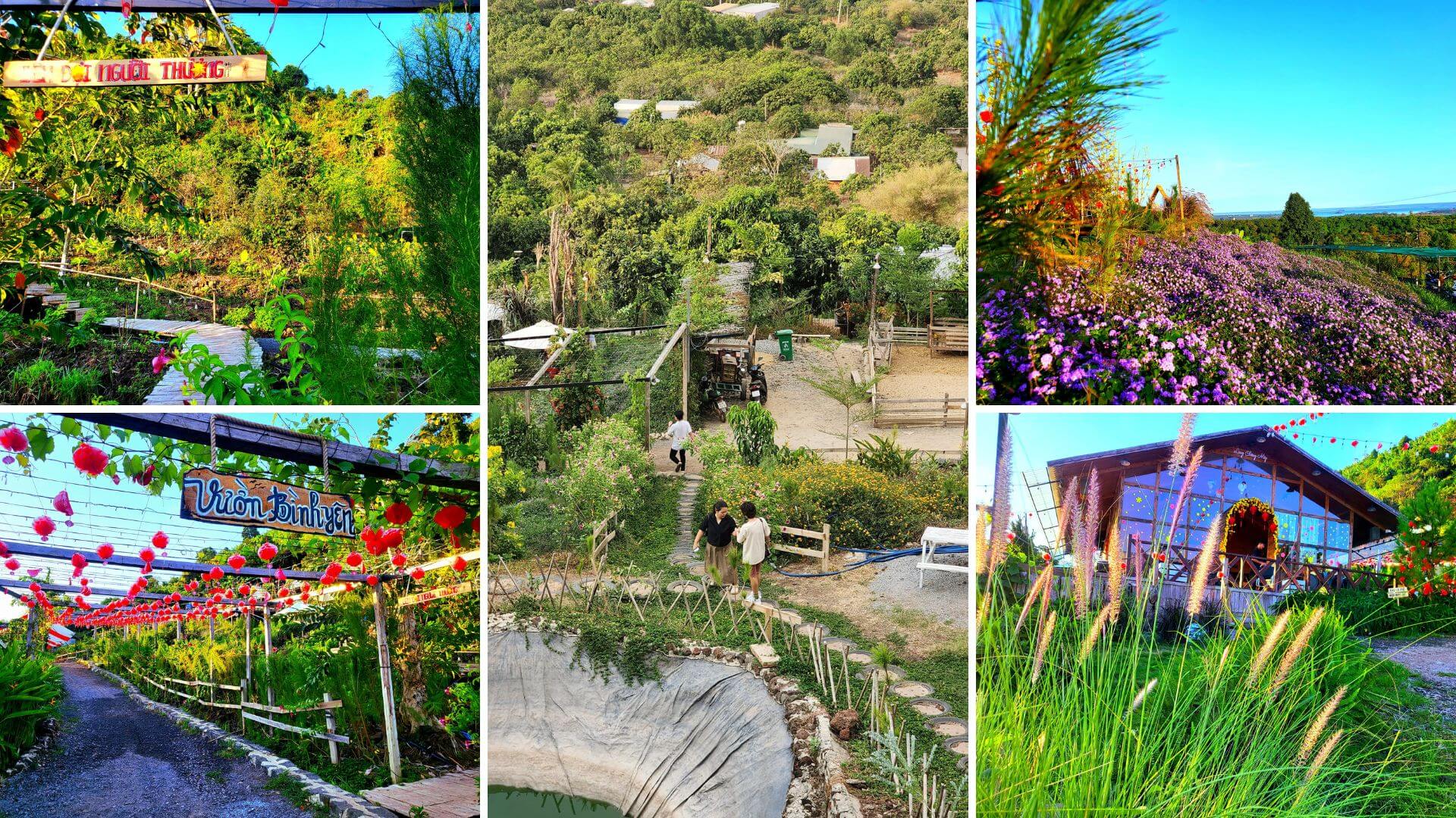 Cà phê Lưng Chừng Mây: Điểm hẹn cho những tâm hồn tìm kiếm sự bình yên