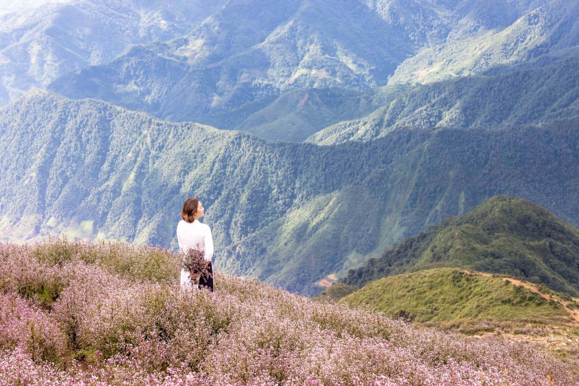 初冬のイェンバイの「屋上」はまるでおとぎの国のような美しさ