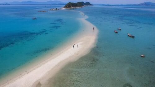 Hon Kho - ワイルドで奇妙な美しさを発見