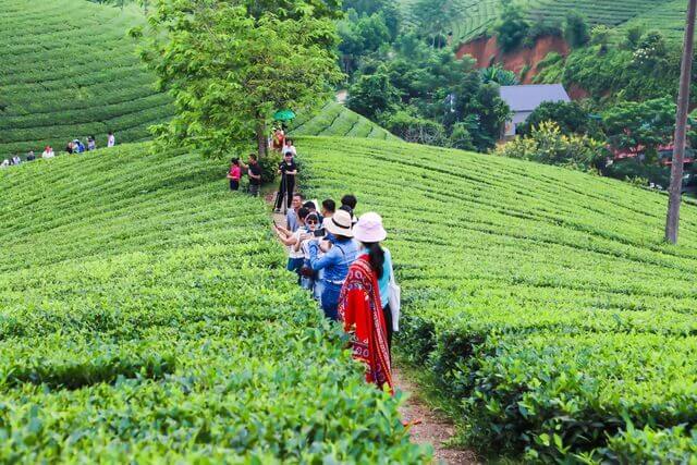 ロンコックは国内外の観光客を魅了する目的地です