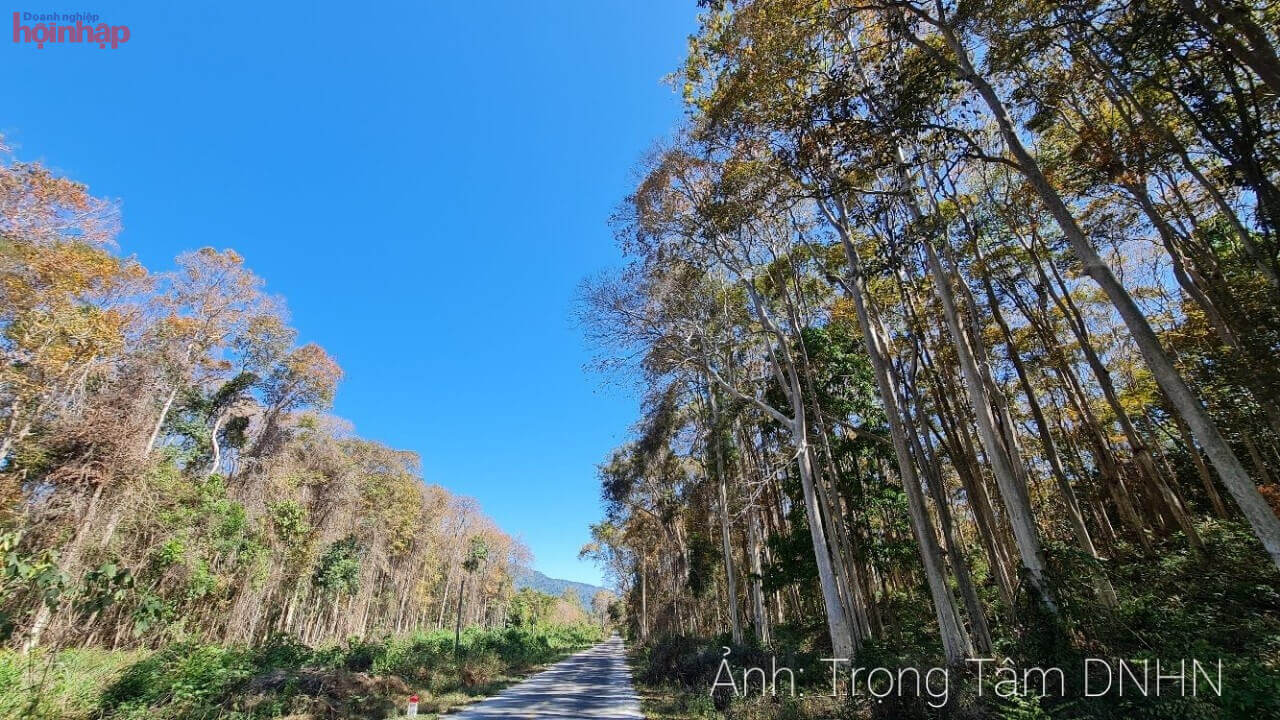 추맘레이 국립공원