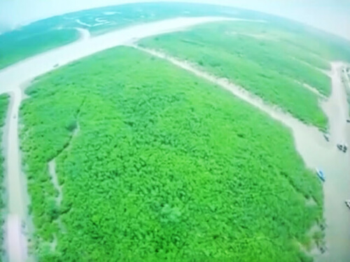 映画のような美しい景色の大地を探検しよう。下には魚やエビがいて、上には空の鳥がいる